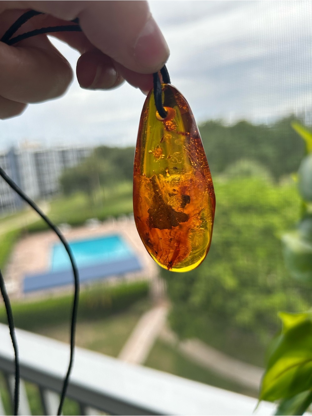 Poland Vintage Baltic Amber Insect Fossil Inclusion Huge Teardrop Pendant - Picture 8 of 17
